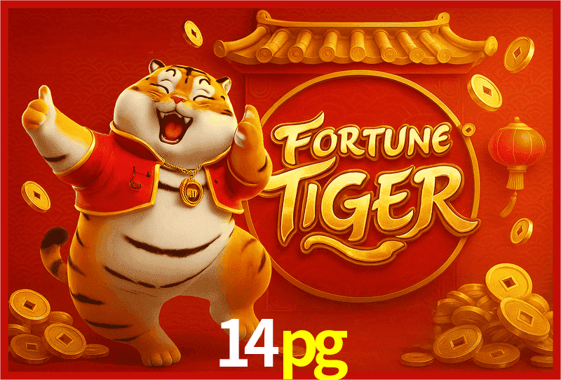 Interface Premium 14pg